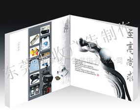 廣東畫(huà)冊(cè)設(shè)計(jì)印刷與網(wǎng)站設(shè)計(jì)全解析