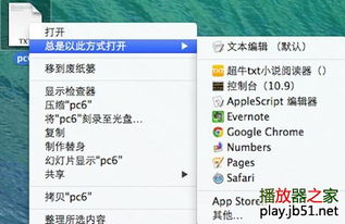 超牛txt小說(shuō)閱讀器 for Mac v1.6 官方最新蘋(píng)果電腦版深度解析與獲取指南